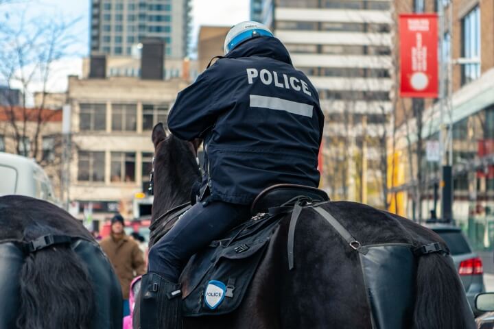 Devenir policier cavalier en unité équestre  missions, qualités