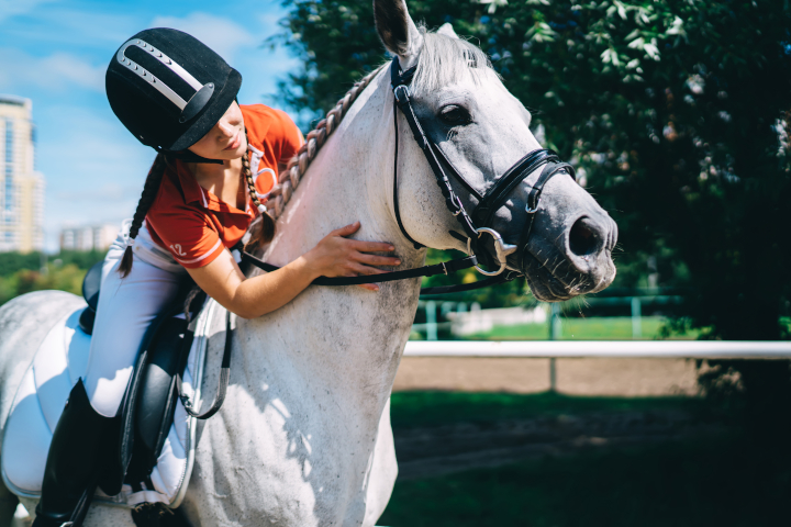 Comment bien choisir son casque d'équitation