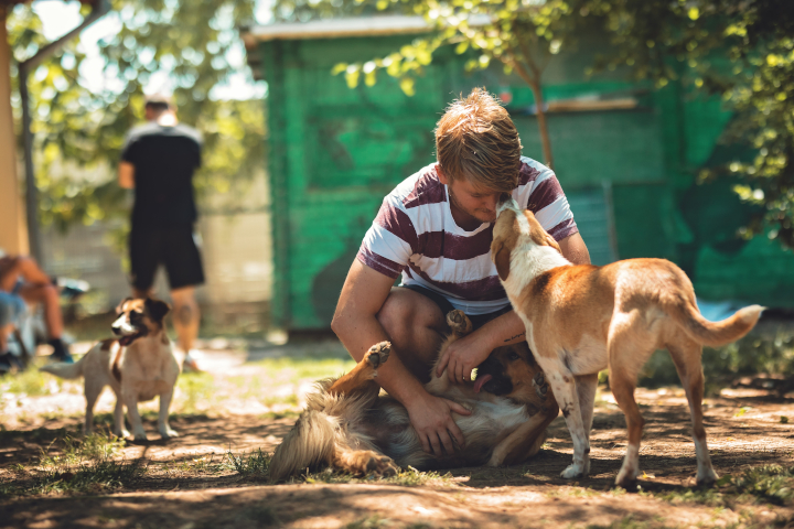 Comportementaliste canin salaire