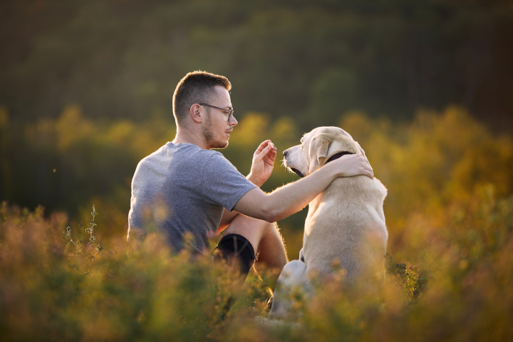 Devenir comportementaliste canin