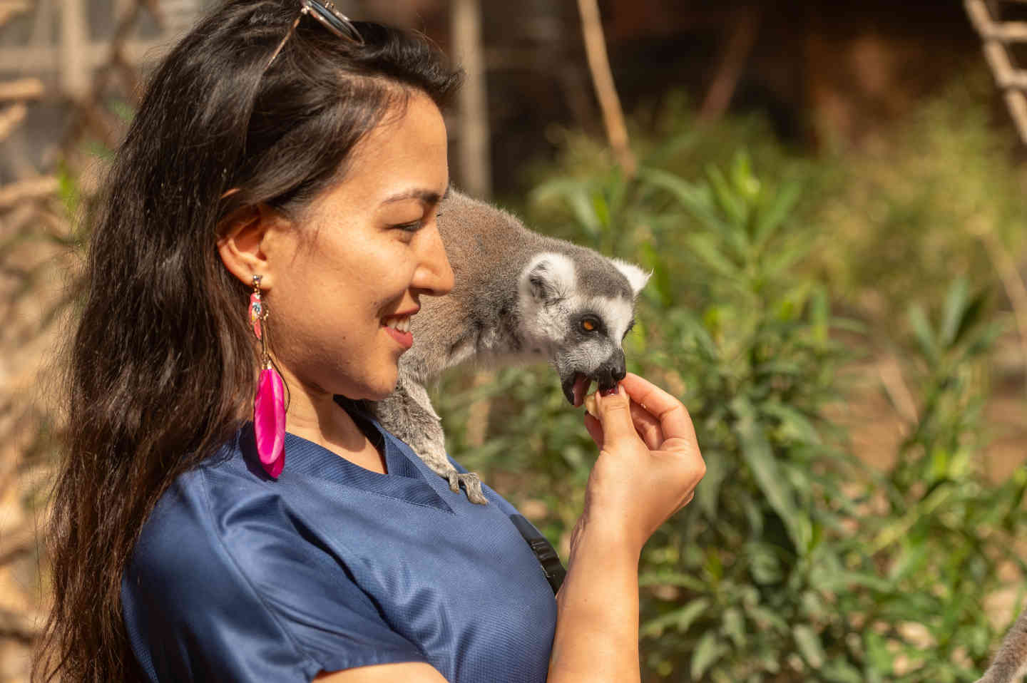 Emploi de soigneur animalier