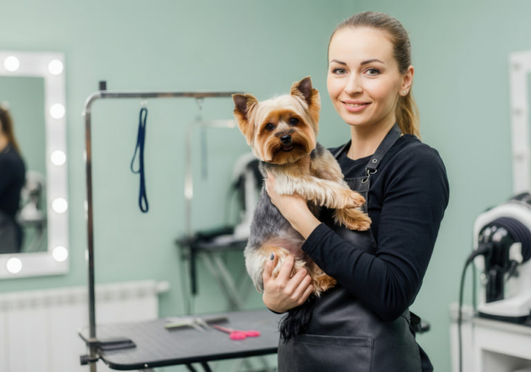 toiletteur pour chiens